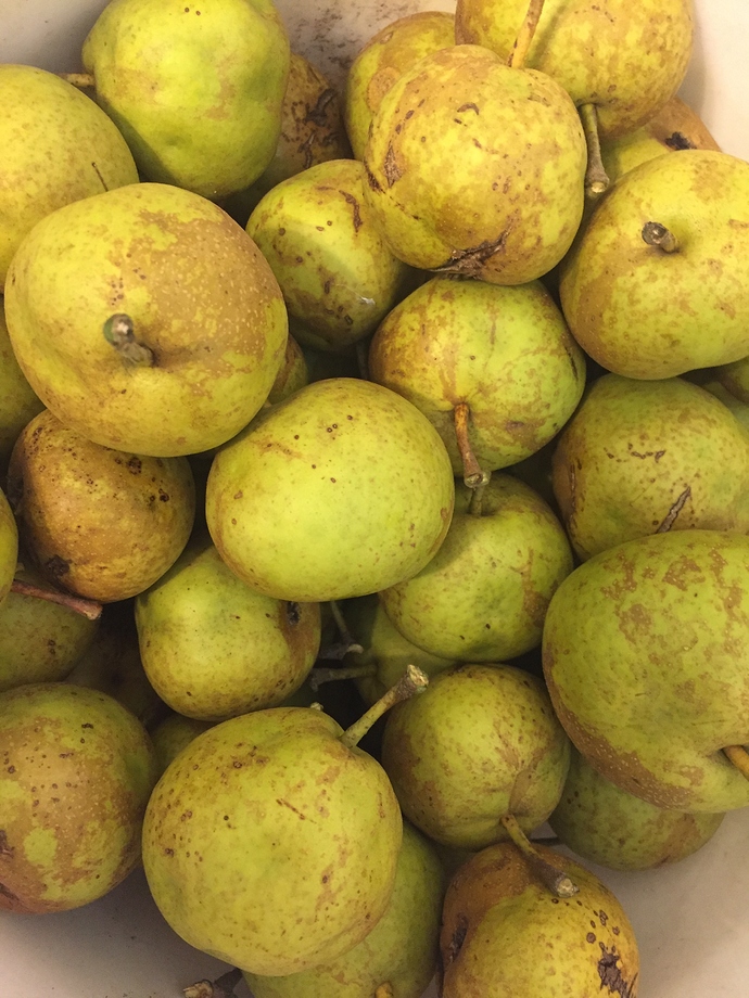 E745C8C9-43A6-4929-8F10-FDD81B87F9D1