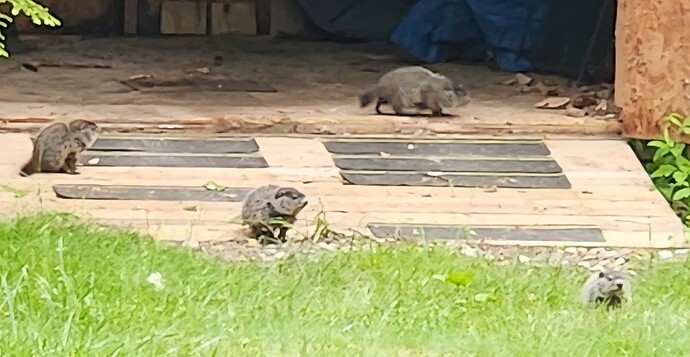 Screenshot_20250526_001316_Gallery