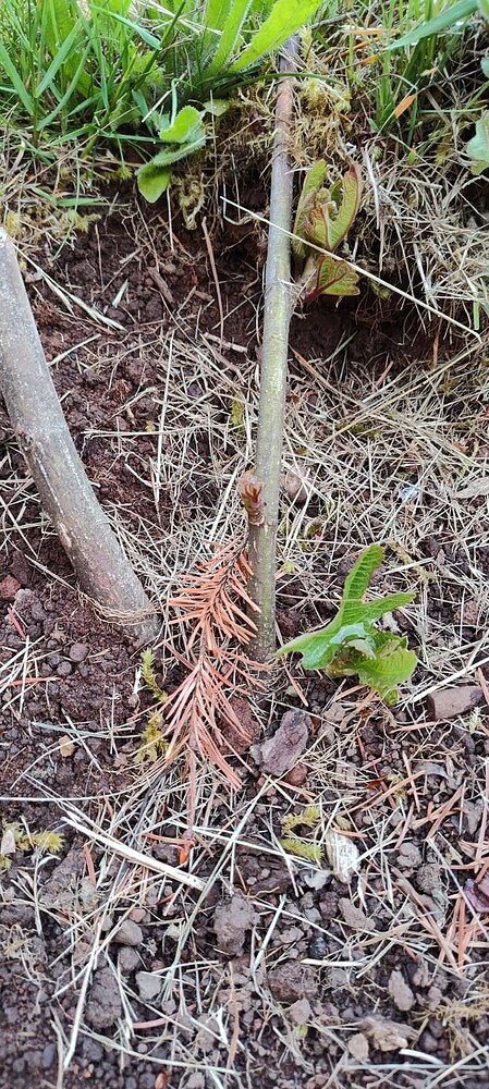 IMG_20250529_174147782_HDR