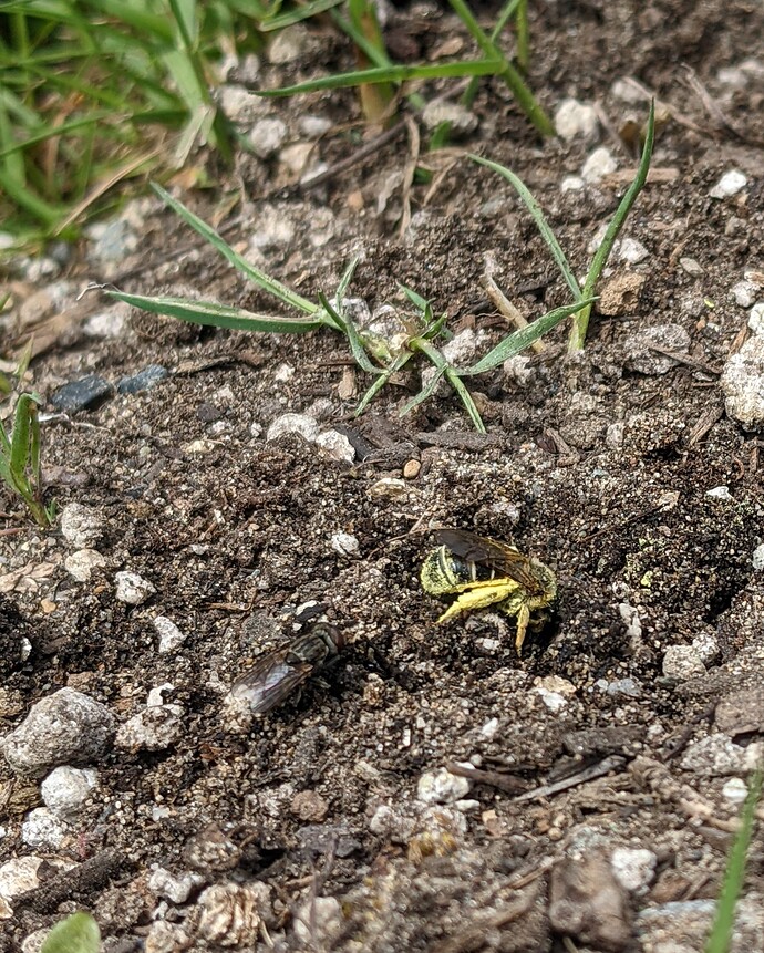 PXL_20220501_203314886.MP