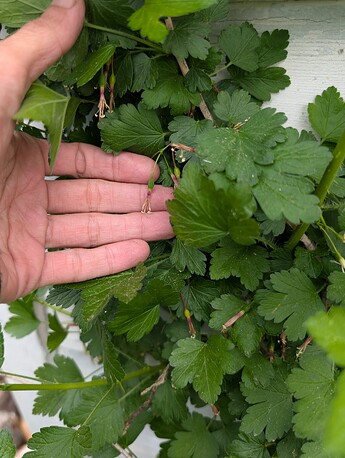 PXL_20250515_200914877