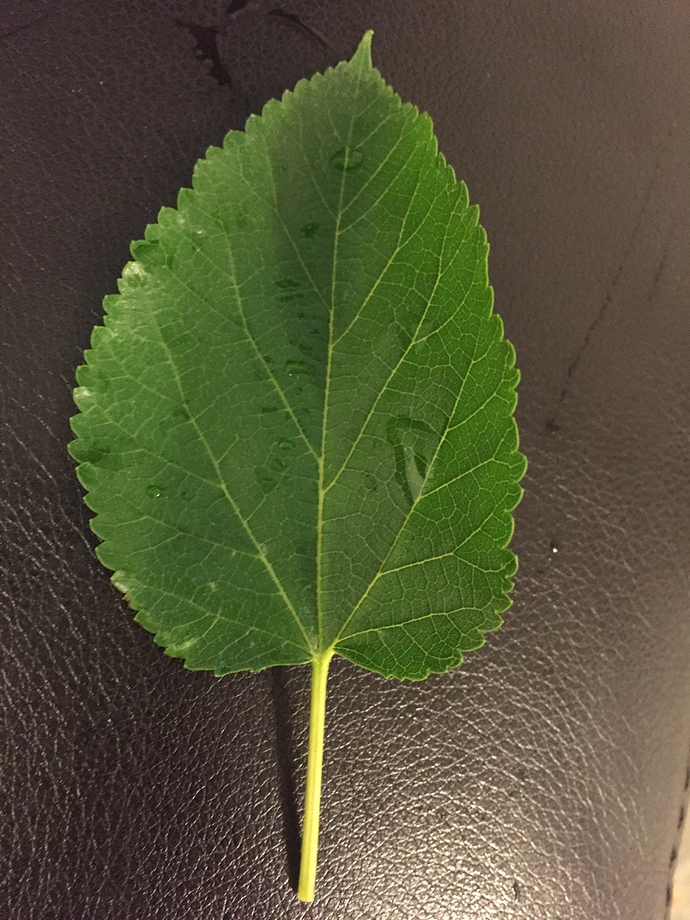 22D65B18-A132-40D6-AEB2-F3D773F0AA59