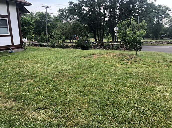 Front_rental_a_06-02-2023