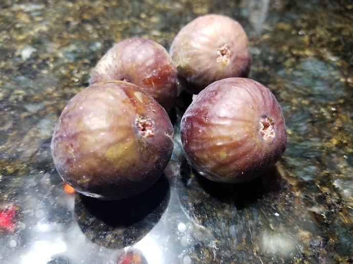 15965028576823592925517468636417