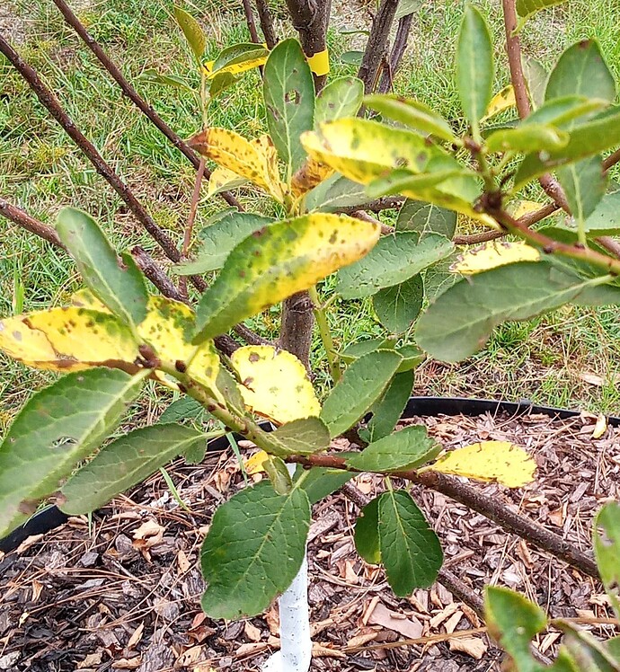 IMG_20231005_090428~2