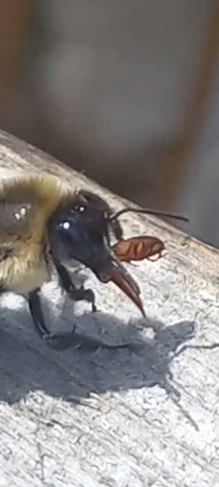 Screenshot_20230809-201451_Video Player