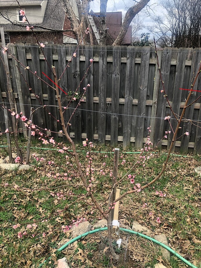 20240314_173715496_iOS