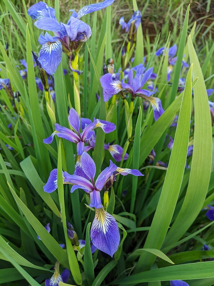 PXL_20220606_233135722