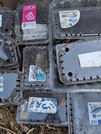 PXL_20250227_225533159