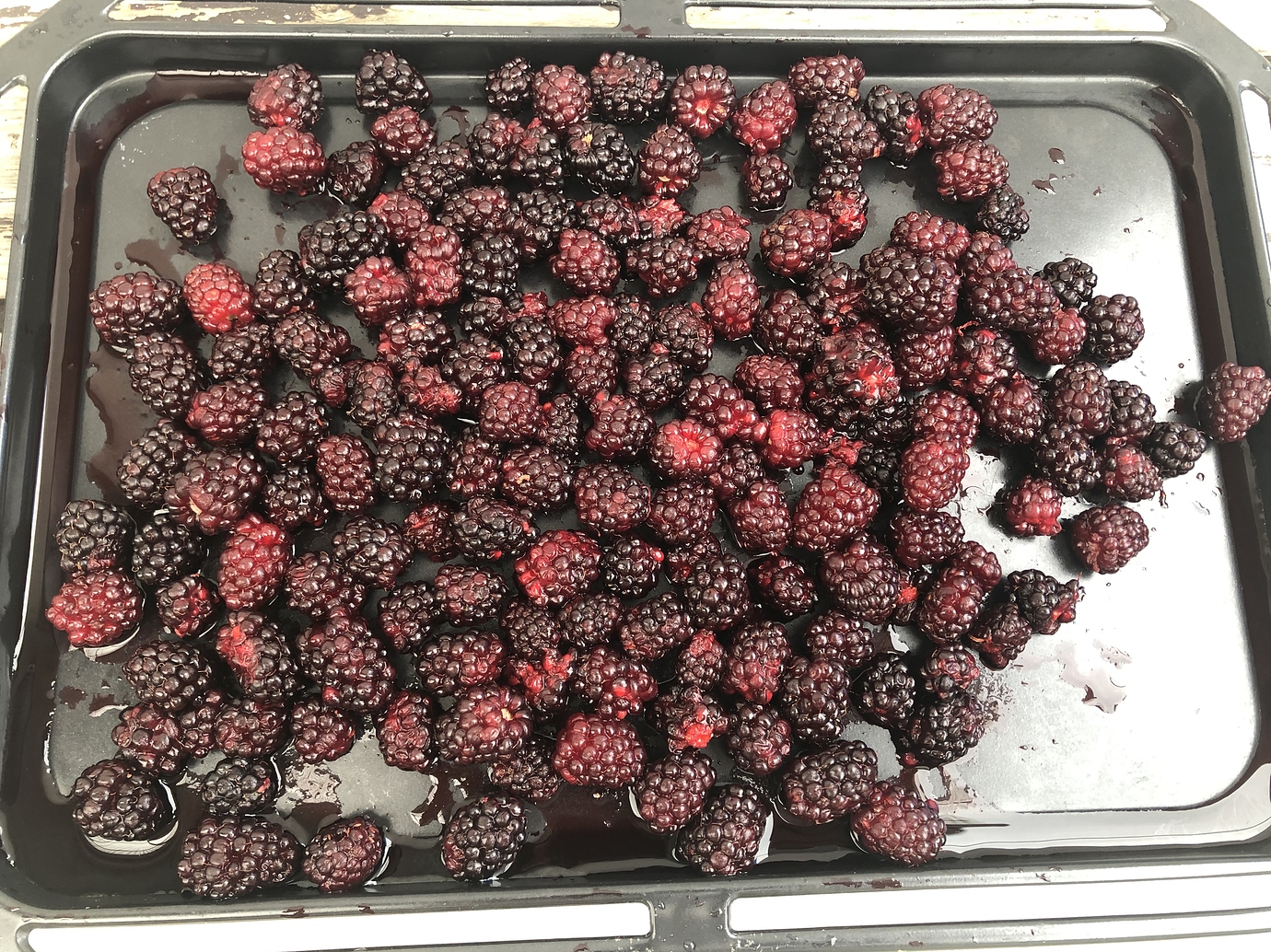 Growing thornless blackberries in pots General Fruit Growing