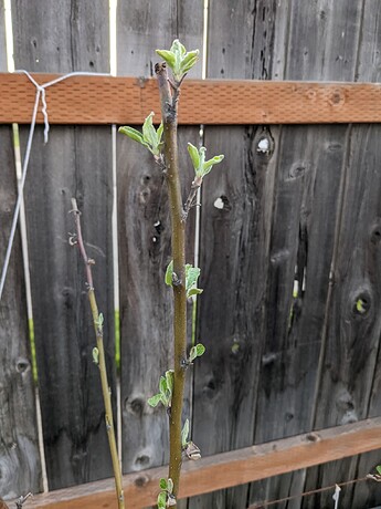 PXL_20230428_025244951