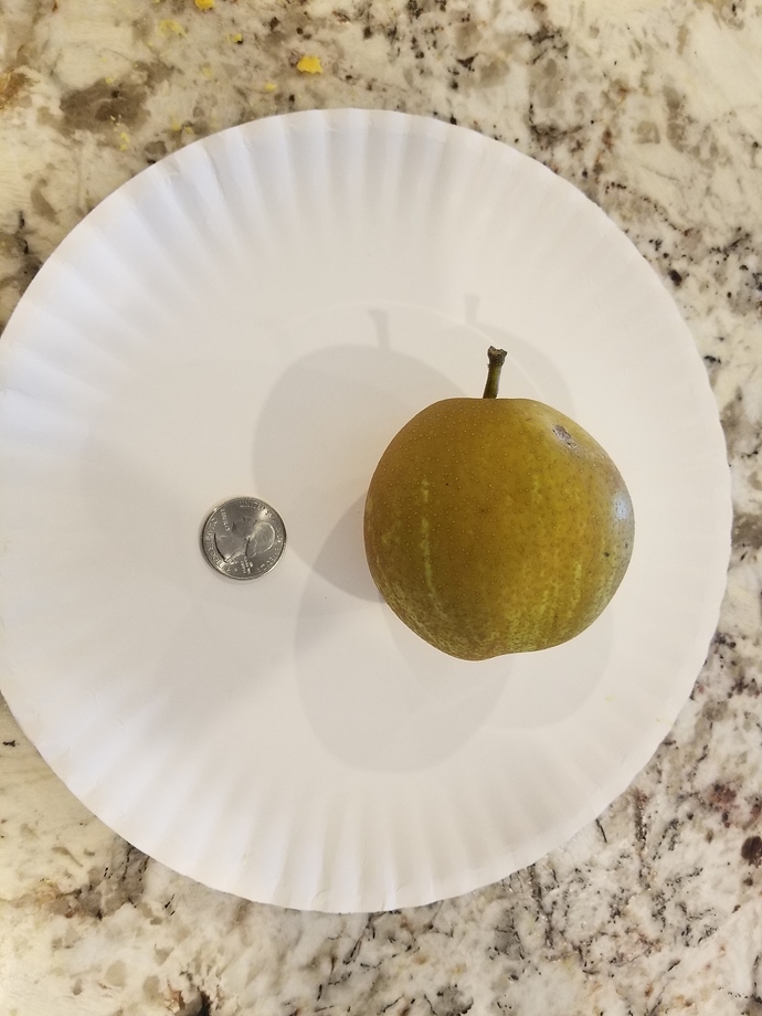 tennoshui_8062018_copy