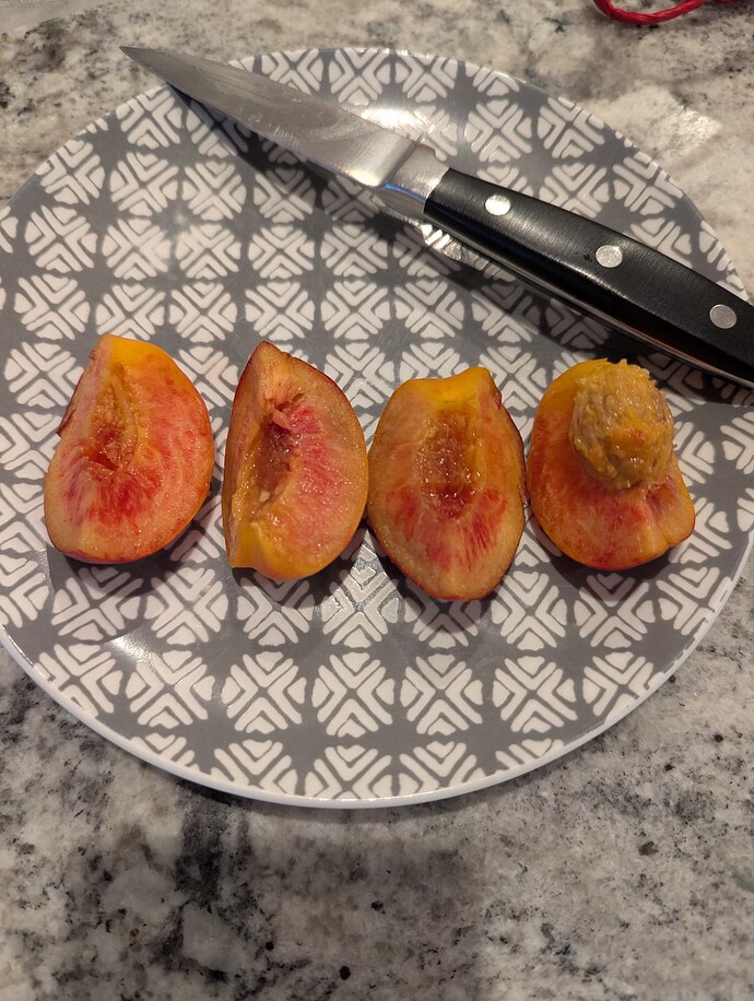 PXL_20250507_221406618