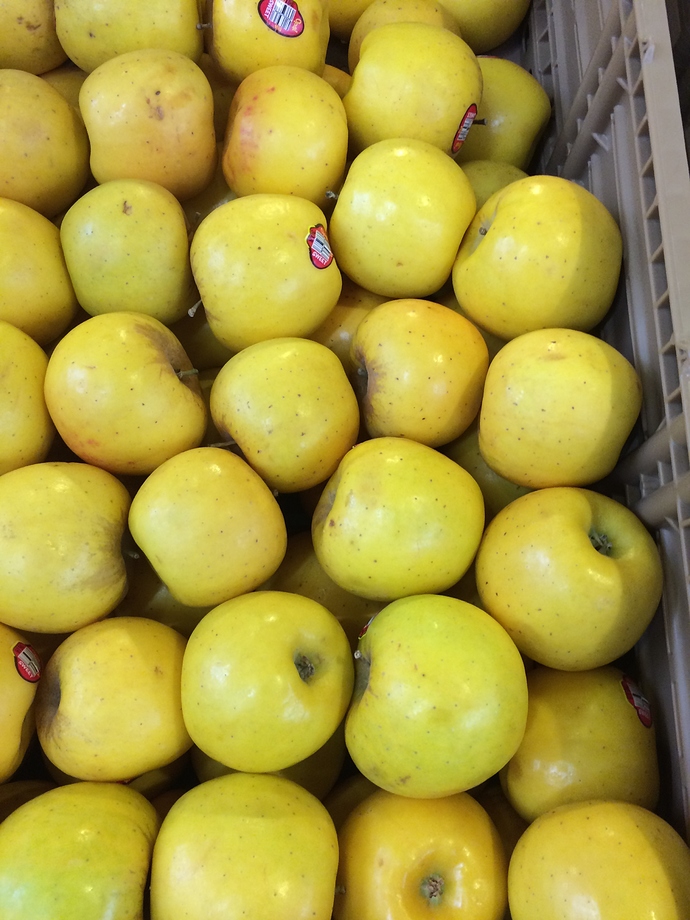 F9F71749-349B-4310-8CAC-28E3A41446C5