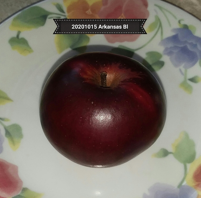 20201015%20Arkansas%20Bl