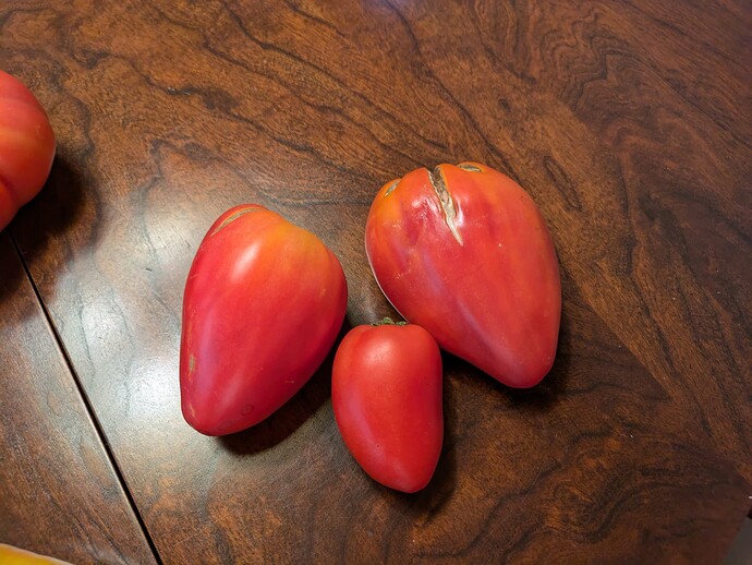 PXL_20240716_005250054