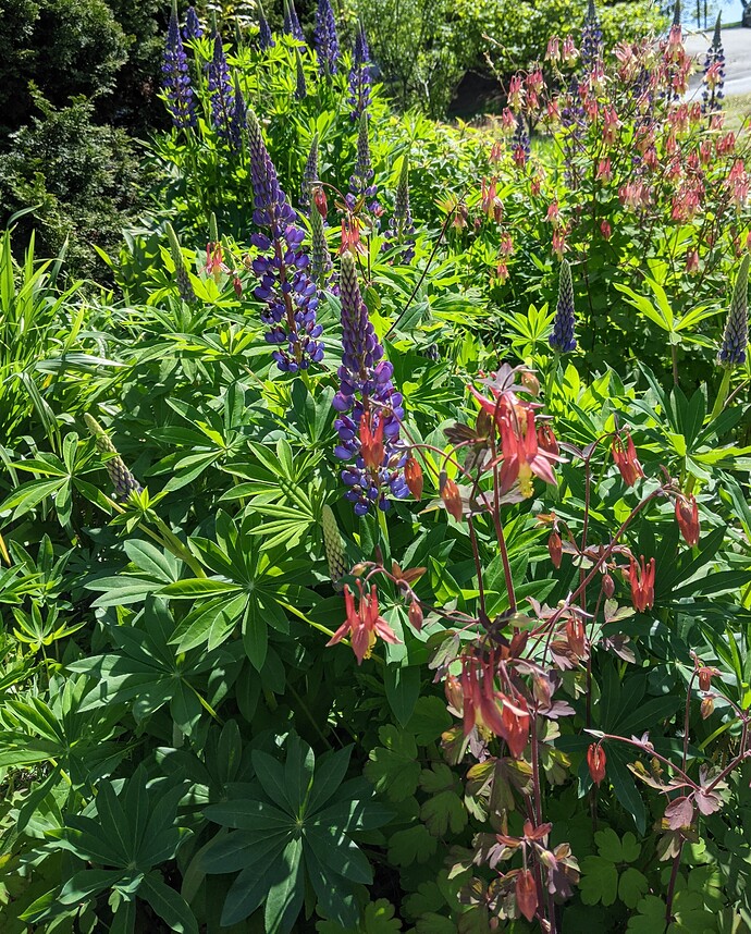 PXL_20210515_151319845~2