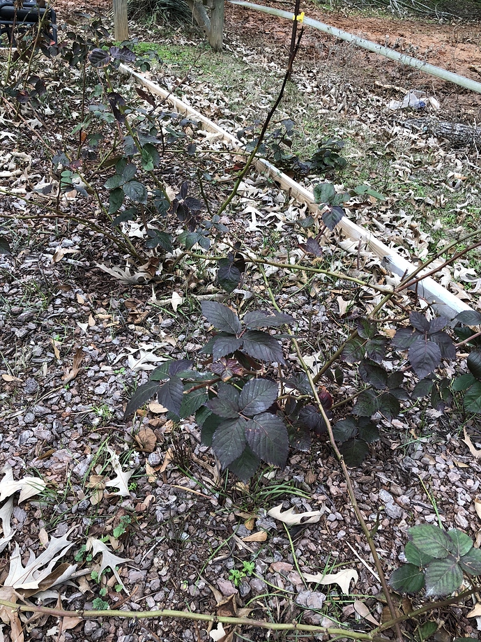 749CE9B0-4332-43FE-AB14-4AA89563683E