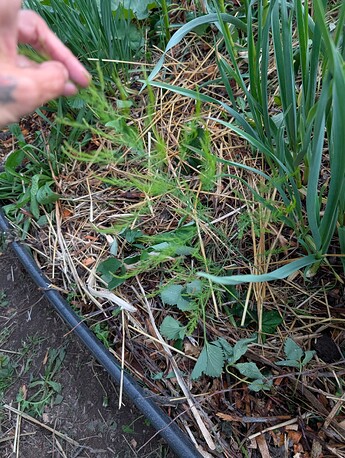 PXL_20250520_031659349