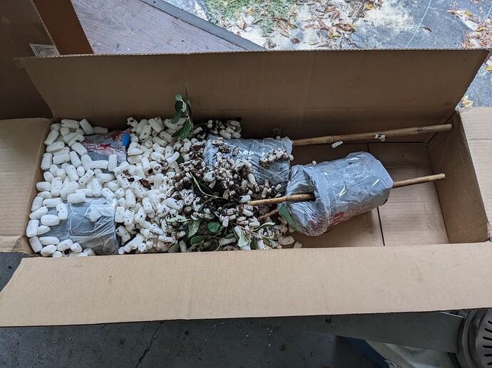 PXL_20230928_160232641