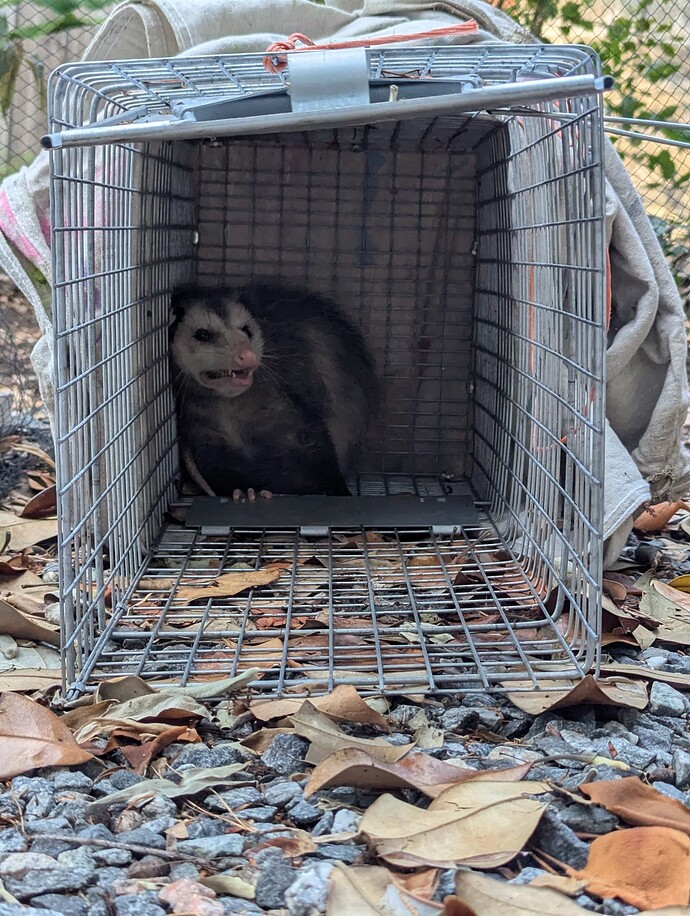 PXL_20250508_230840093