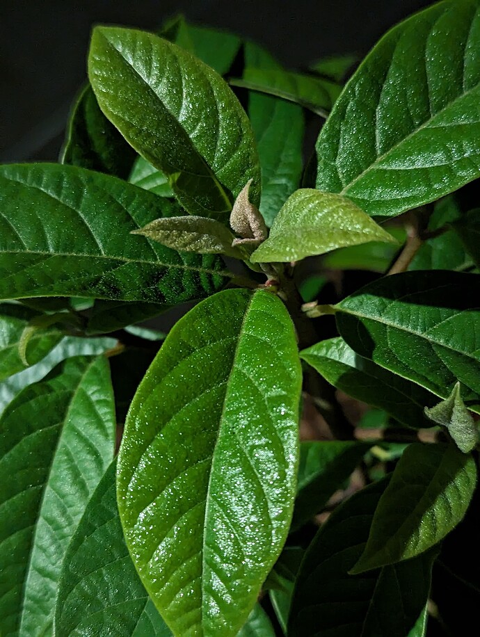 PXL_20231013_050445406