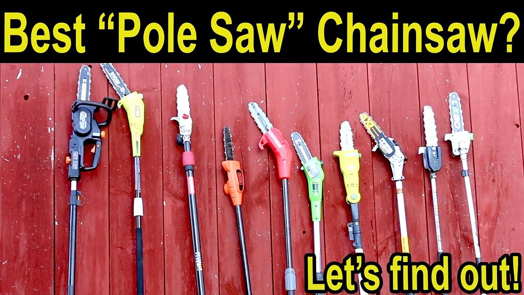 Electric pole saw review General Gardening Growing Fruit