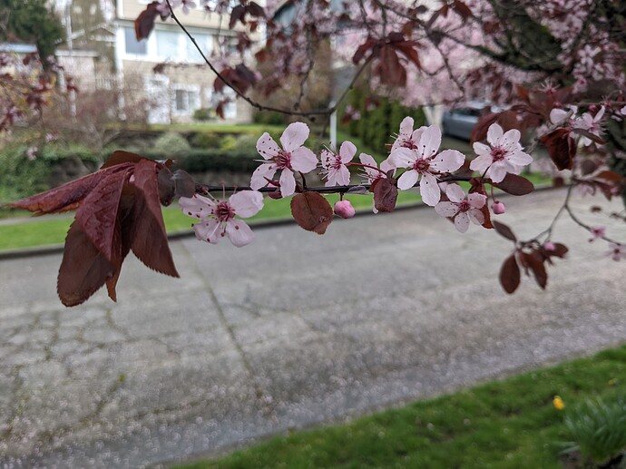 PXL_20220319_174527072