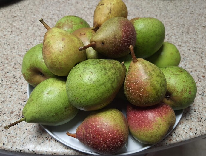 Moonglow and Ayers 08-19-22