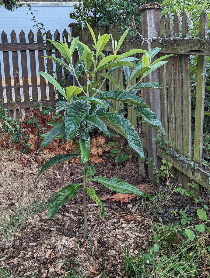 PXL_20230830_155632402