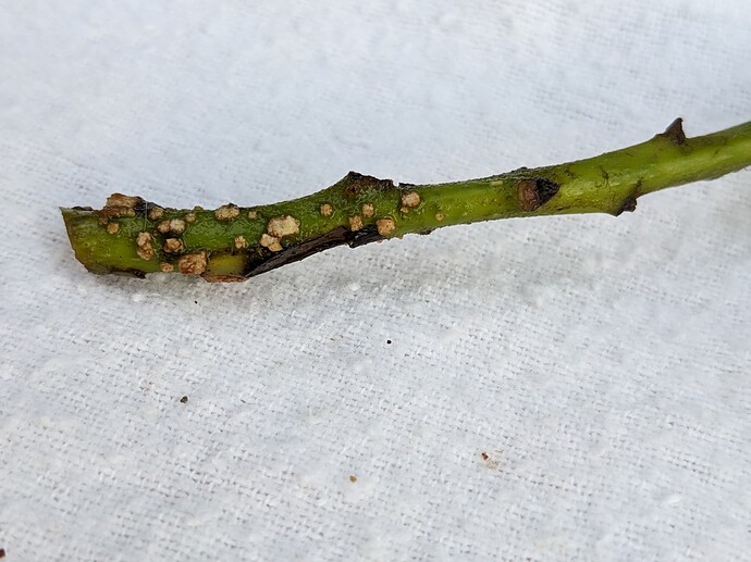 PXL_20221022_233429505