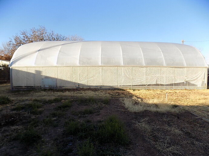 greenhouse dec 7 2019 001
