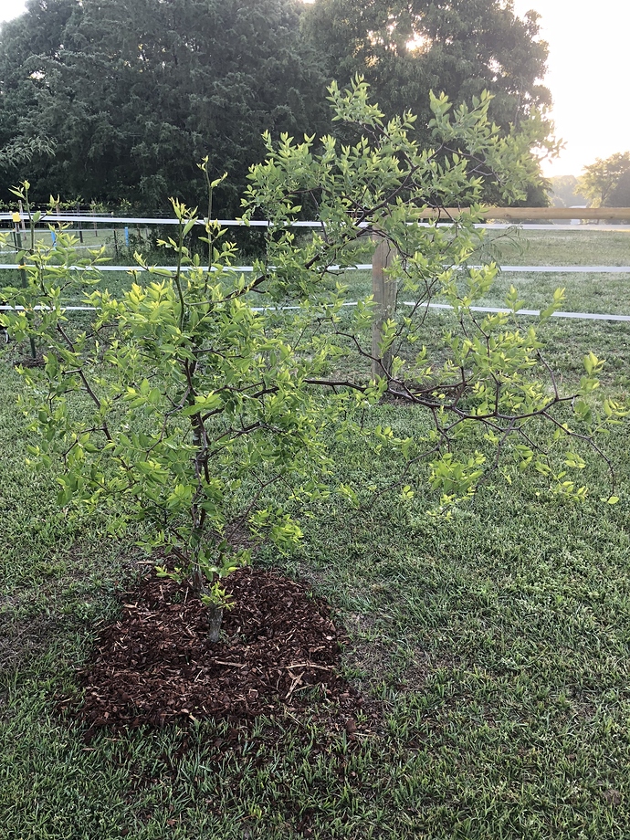 11AE9964-B562-4FF6-9B3A-84E144E2C0A3