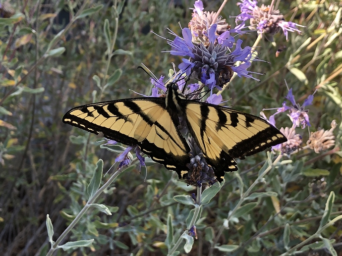 20200526_235408064_iOS