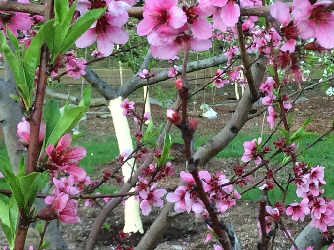 BEE720F5-0993-4EAF-A913-4113614E56AC