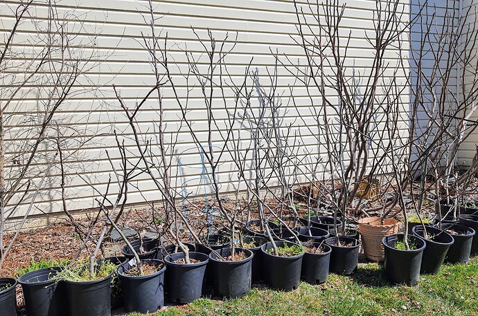 Figs 03-18-22