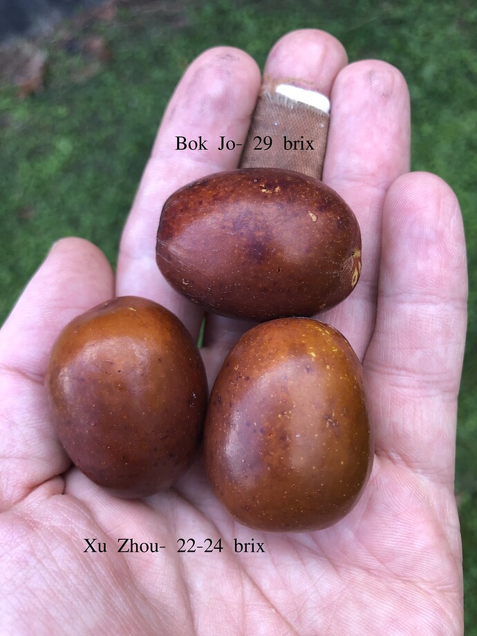 Xu_Zhou_and_Bok_Jo_10-22-2021