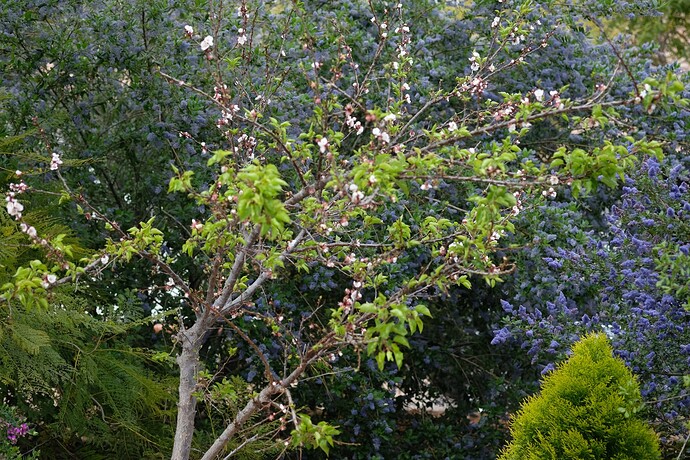 DSCF1402