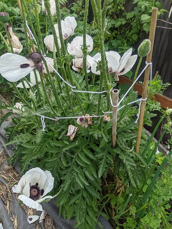 PXL_20220618_231039422