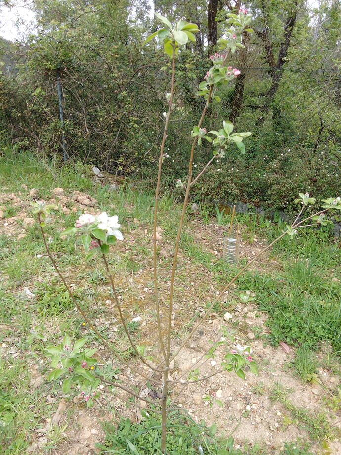 IMG_20220421_103329