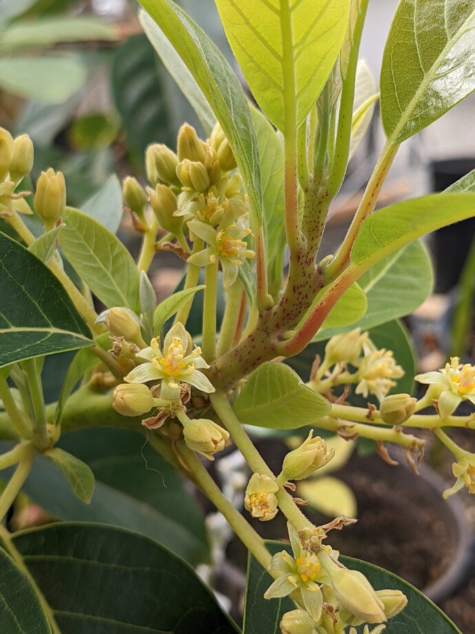 PXL_20220321_215505161