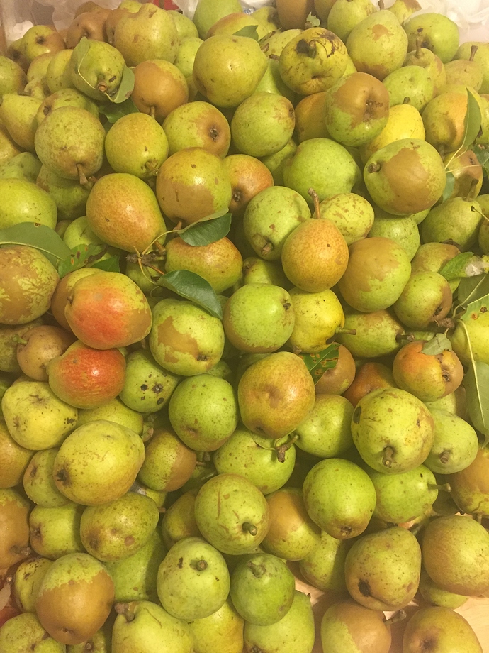 1984BD0E-D72A-438E-A6E2-5F684245D938