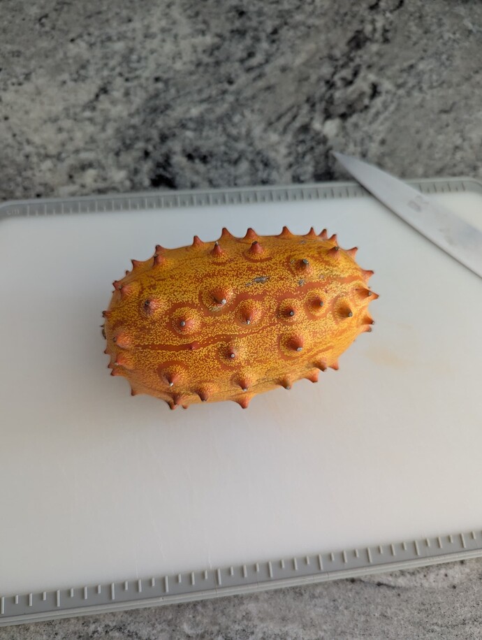 PXL_20250524_125424415