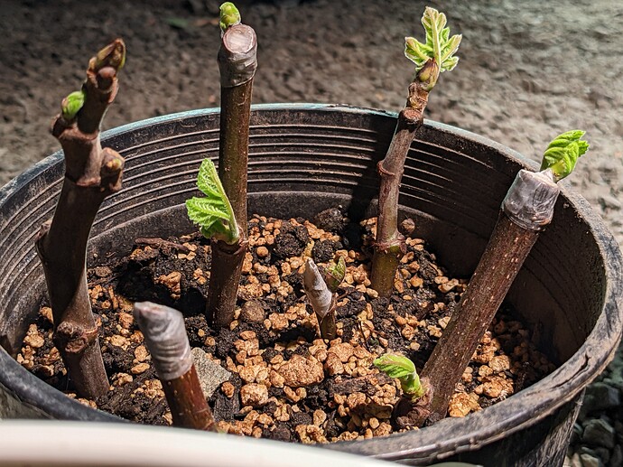 PXL_20220507_035552034.MP