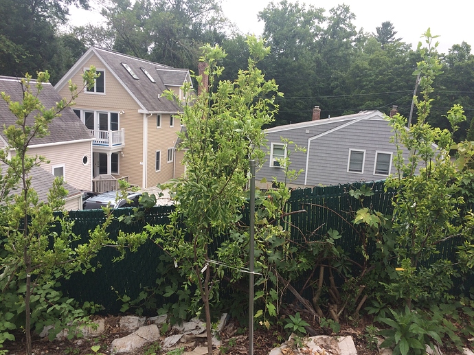 Sherwood_Righted_07-22-2018