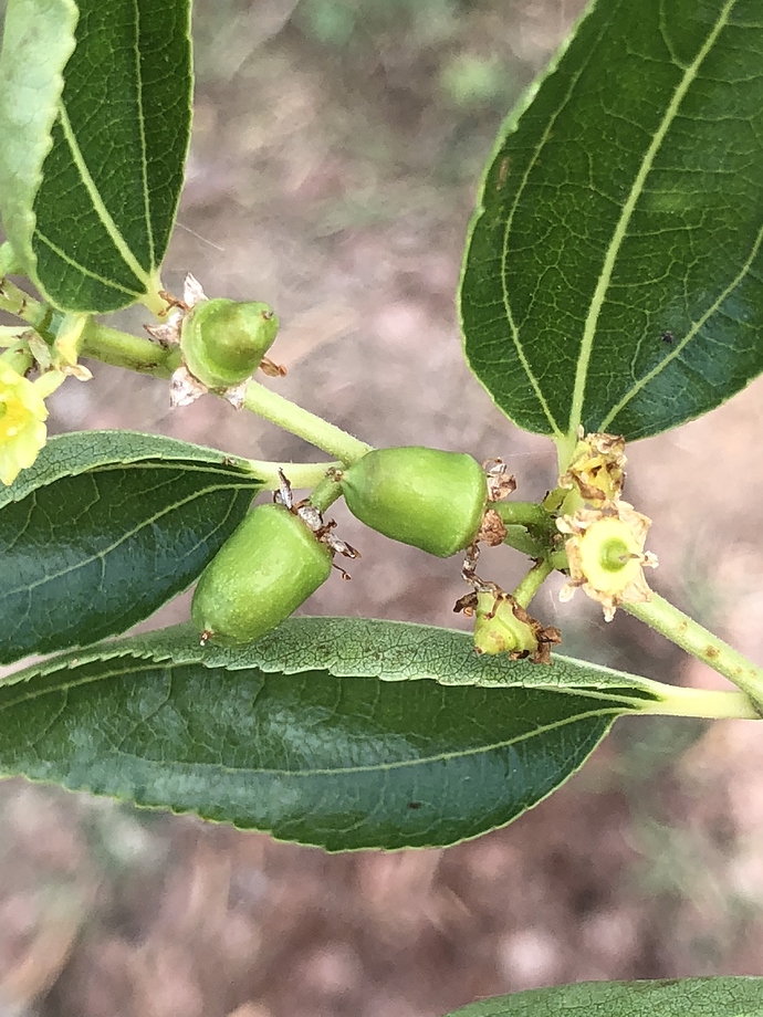 337D40DA-B185-4316-A7B4-8DD0943F3144