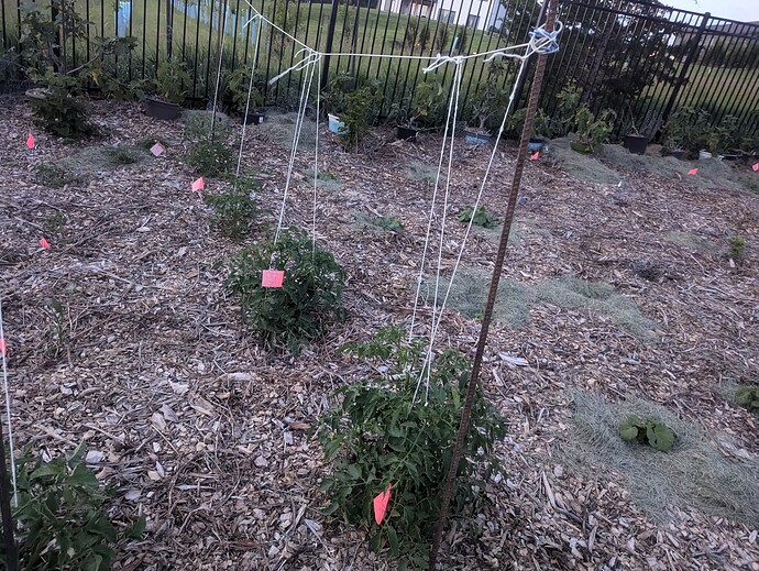 PXL_20240621_022149558