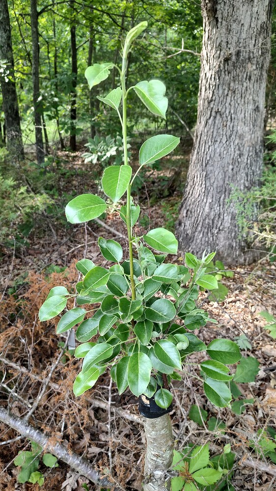 IMG_20250519_163830889_HDR