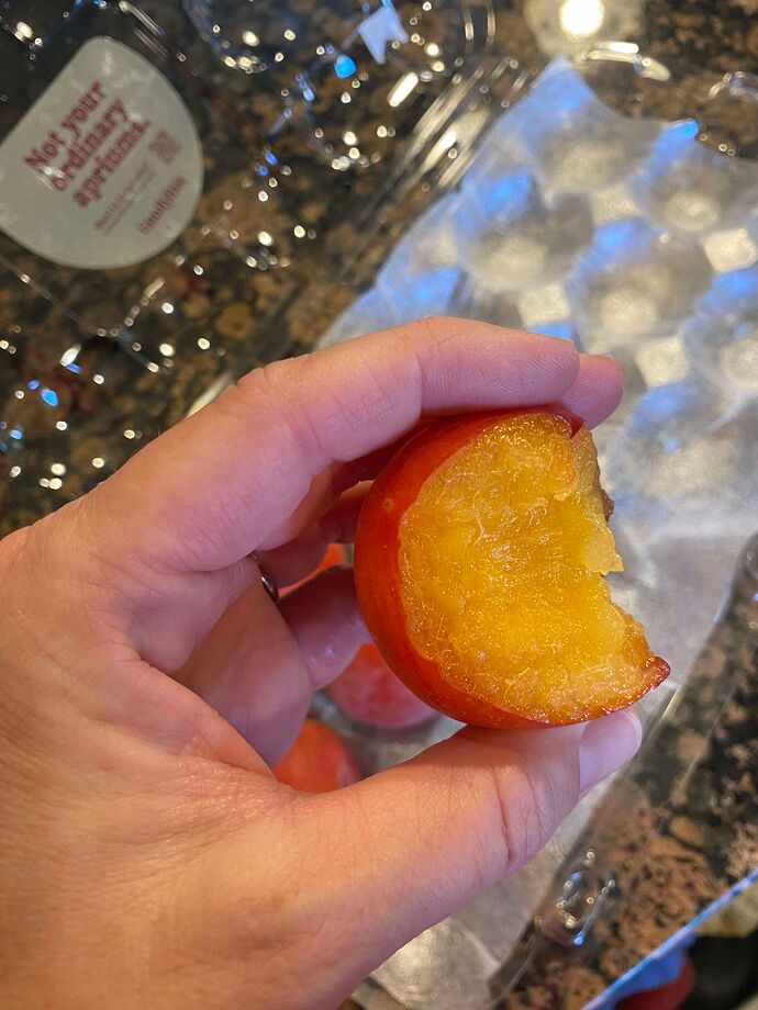 455953093_503596822253400_3725054743598205636_n