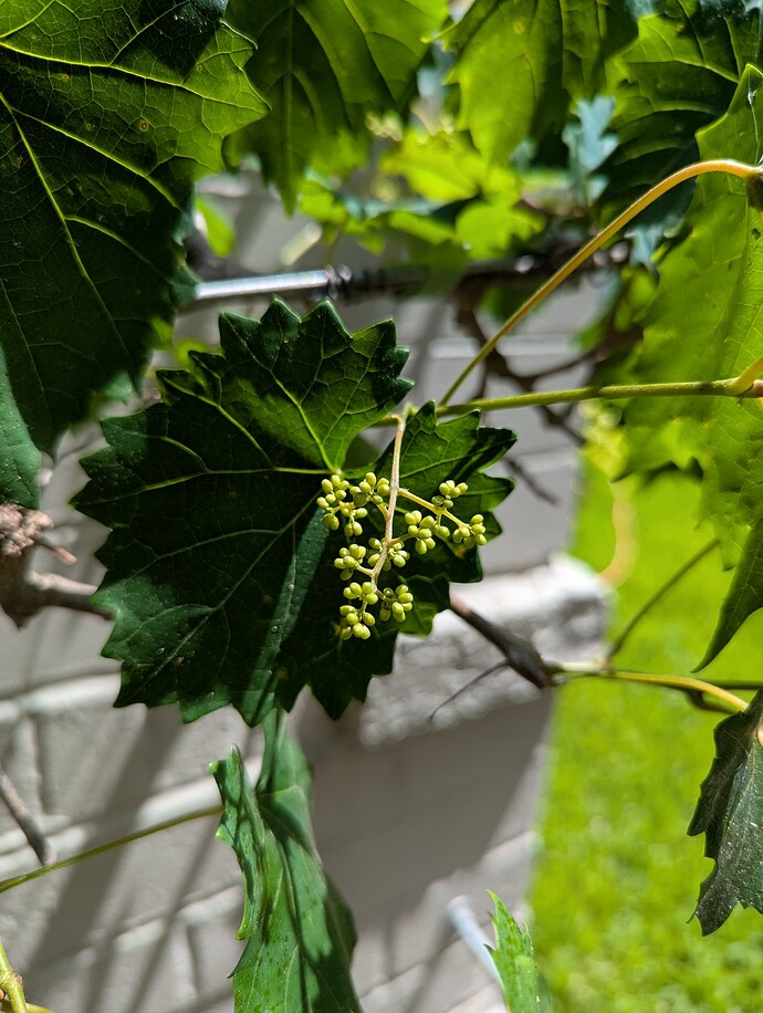 PXL_20250501_185740011